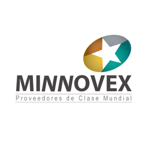 logo-minnovex